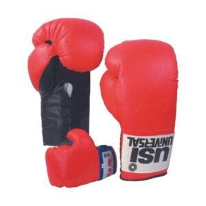 DISPLAY BOXING GLOVES - 613